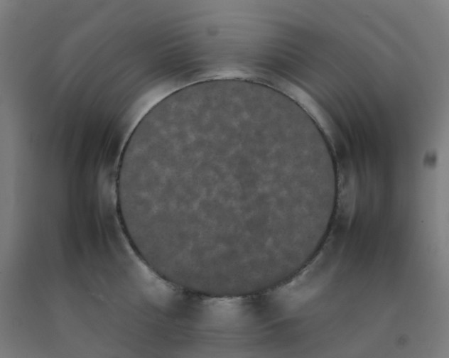 X0000092270810200709281222