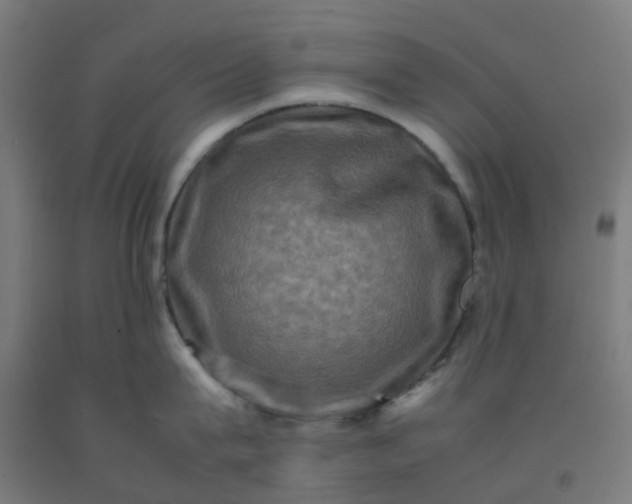 X0000092270815200709281222