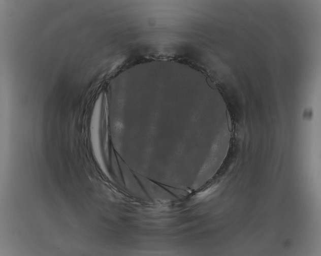 X0000092270818200709281222