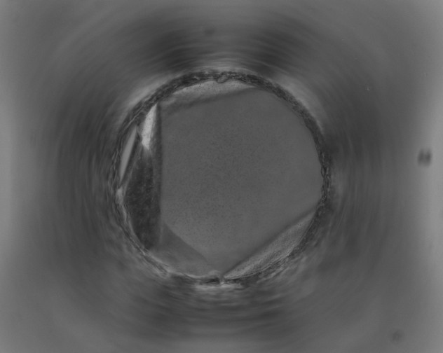X0000092270823200709281222