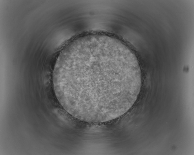 X0000092270824200709281222
