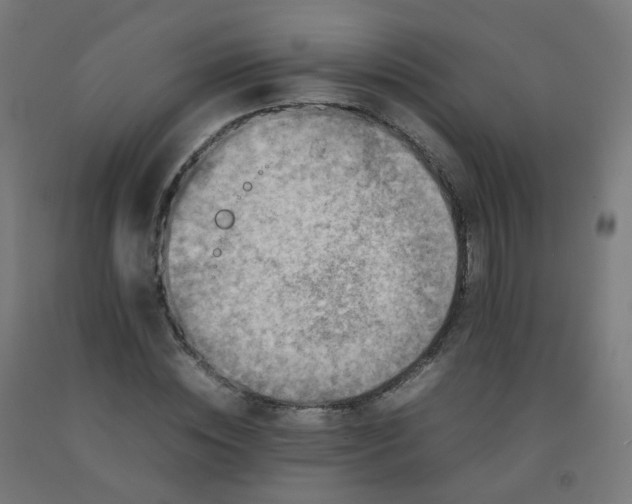 X0000092270828200709281222
