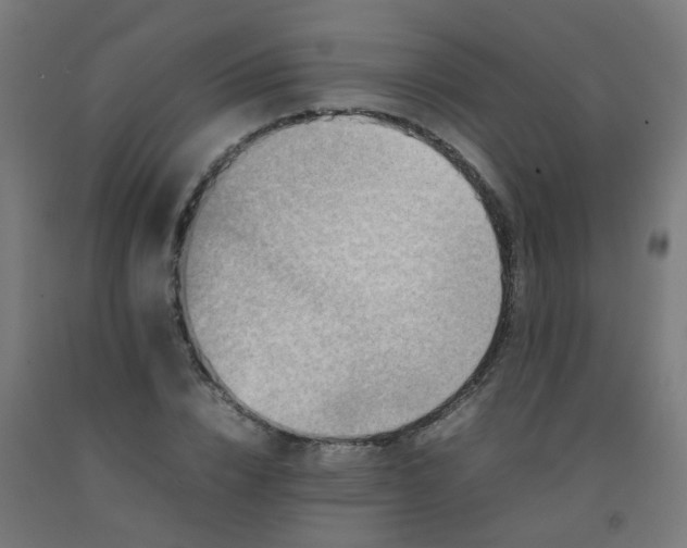 X0000092270832200709281222