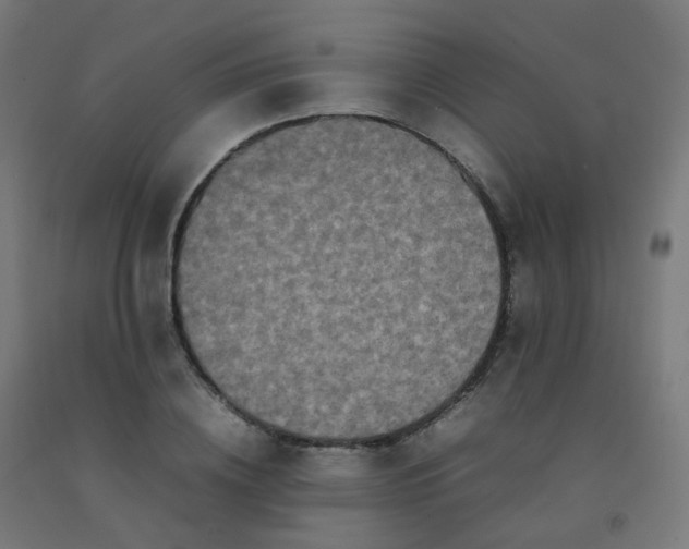 X0000092270836200709281222