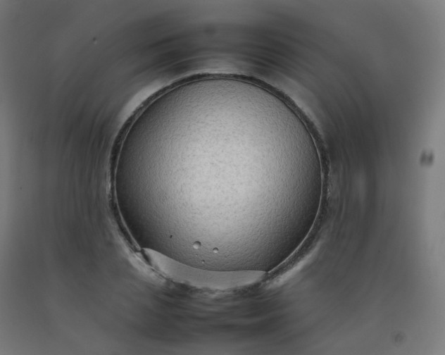 X0000092270837200709281222