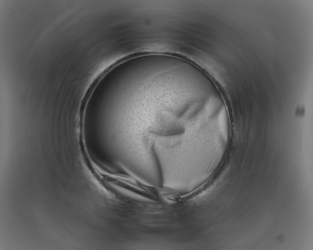 X0000092270839200709281222