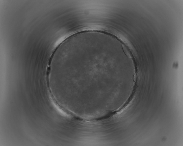 X0000092270842200709281222