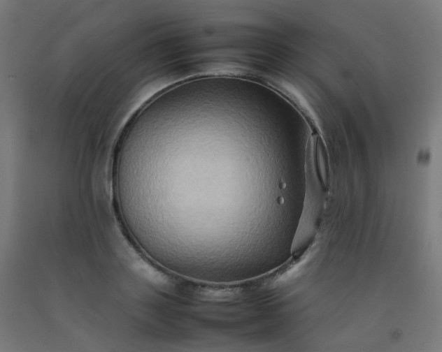 X0000092270843200709281222