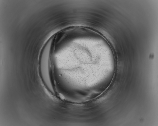 X0000092270845200709281222