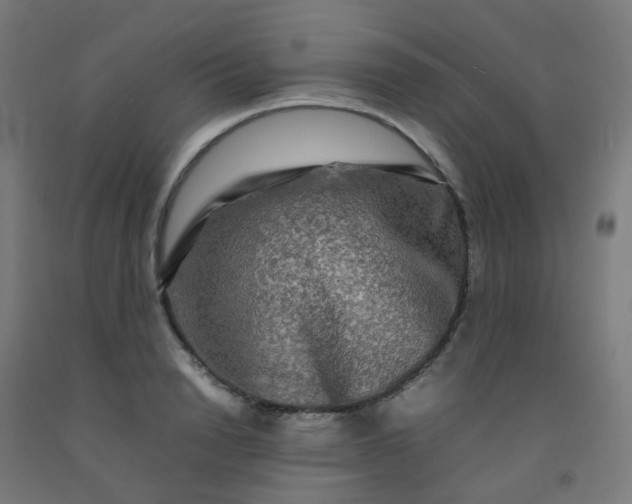 X0000092270846200709281222