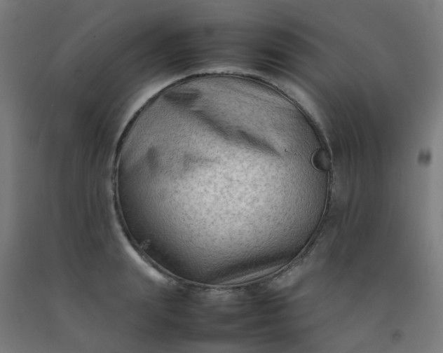 X0000092270847200709281222