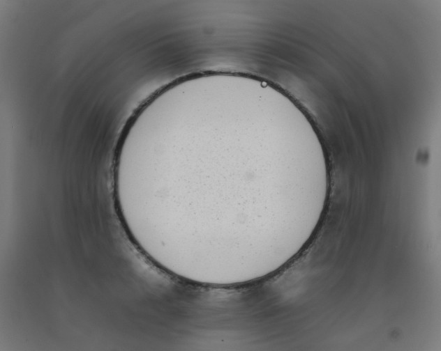 X0000092270848200709281222