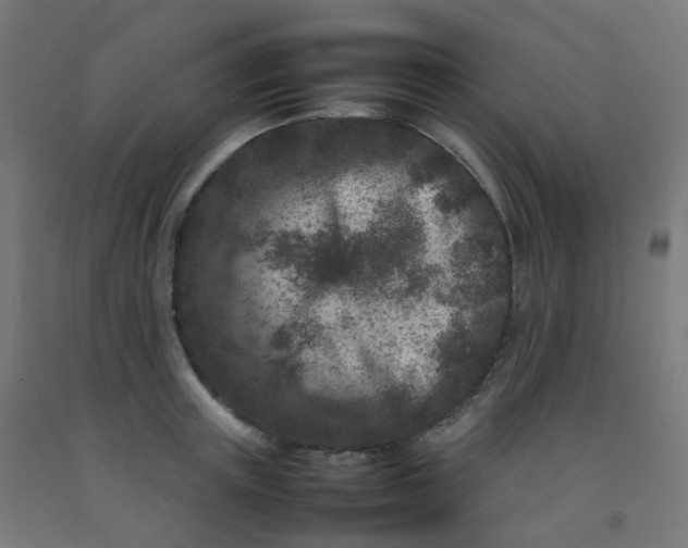 X0000092270851200709281222