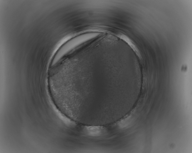 X0000092270853200709281222