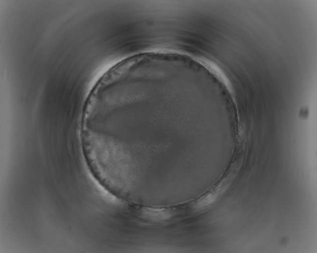 X0000092270855200709281222