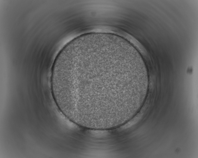 X0000092270856200709281222