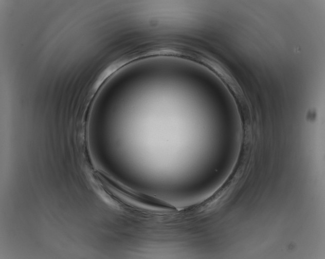 X0000092270858200709281222