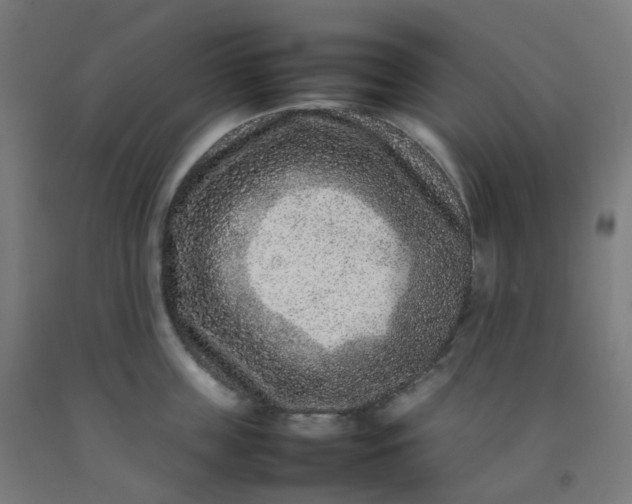 X0000092270859200709281222