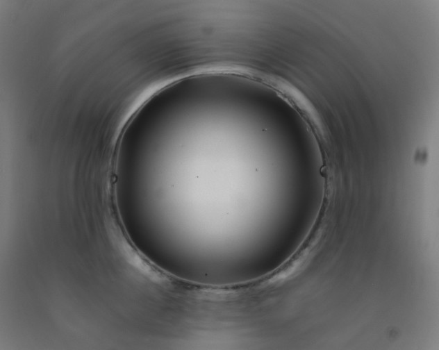 X0000092270860200709281222