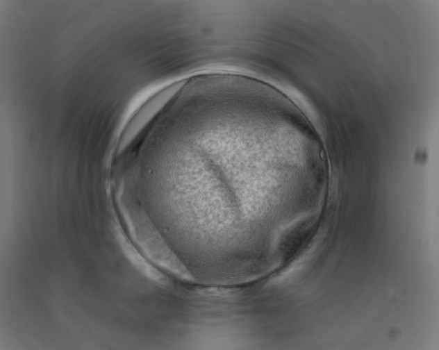 X0000092270862200709281222