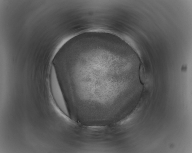 X0000092270863200709281222