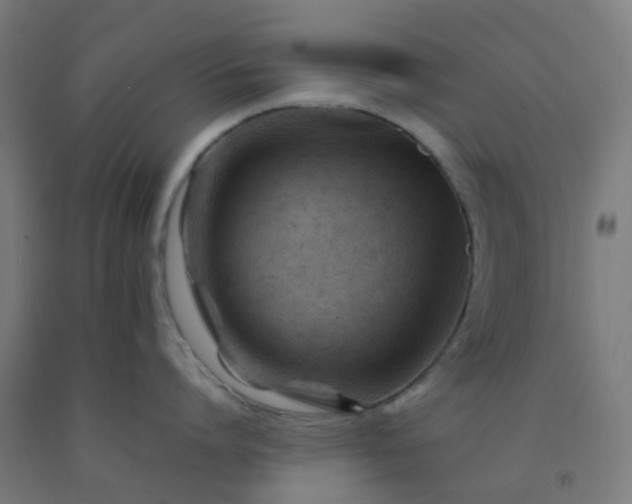 X0000092270864200709281222