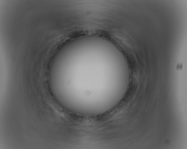 X0000092270865200709281222