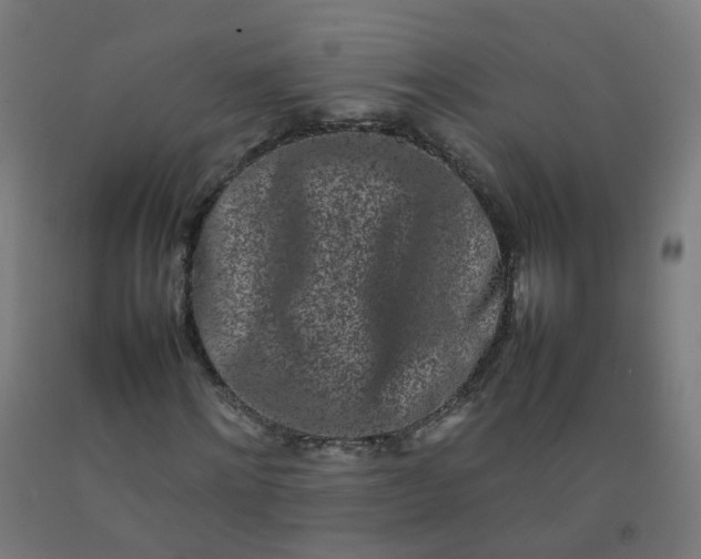 X0000092270868200709281222