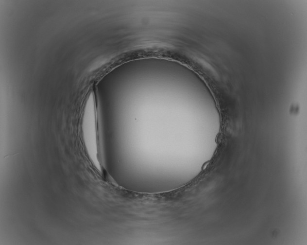 X0000092270869200709281222