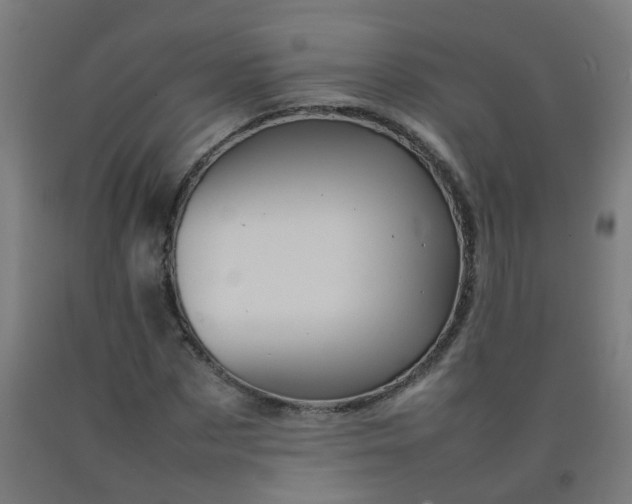 X0000092270873200709281222
