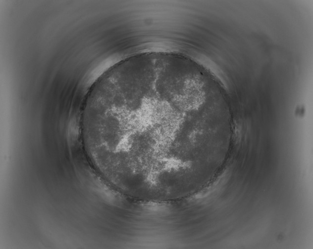 X0000092270874200709281222