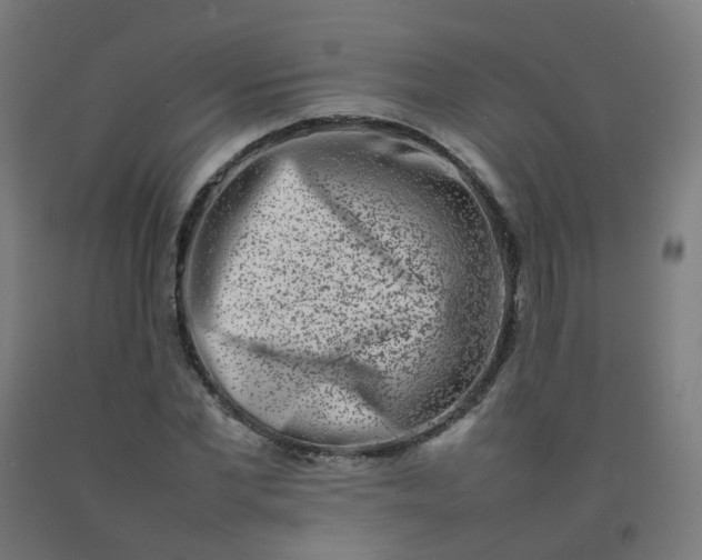 X0000092270877200709281221