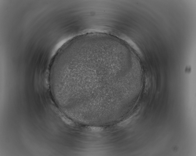 X0000092270878200709281221