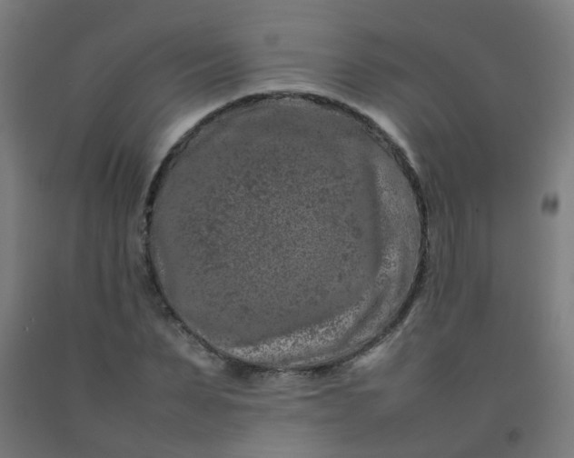 X0000092270879200709281221