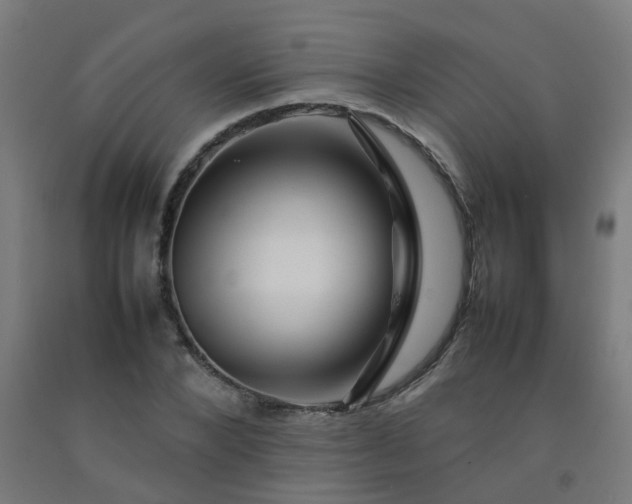 X0000092270880200709281221