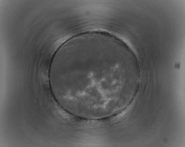 X0000092270881200709281221