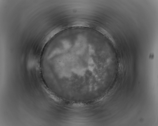 X0000092270882200709281221