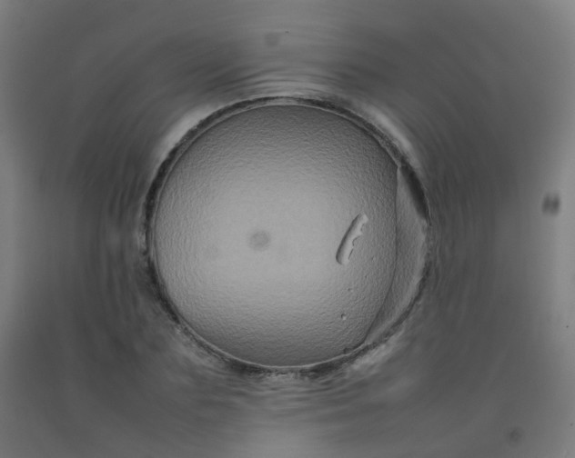 X0000092270883200709281221