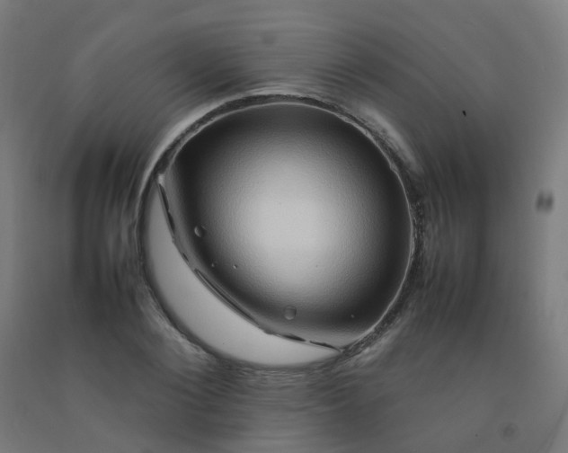 X0000092270884200709281221