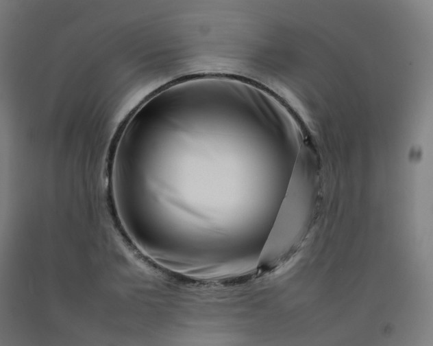 X0000092270885200709281221