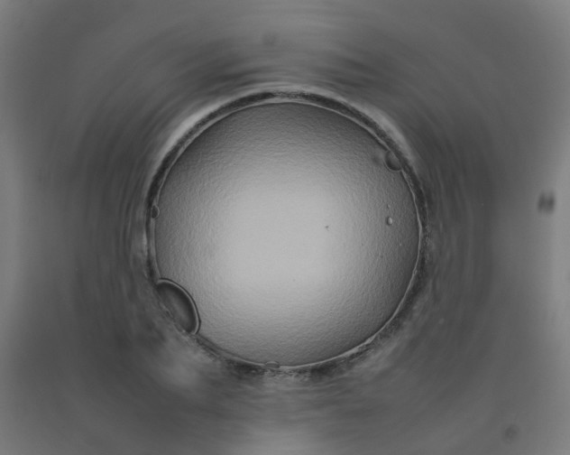 X0000092270887200709281221