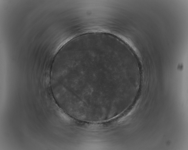 X0000092270889200709281221