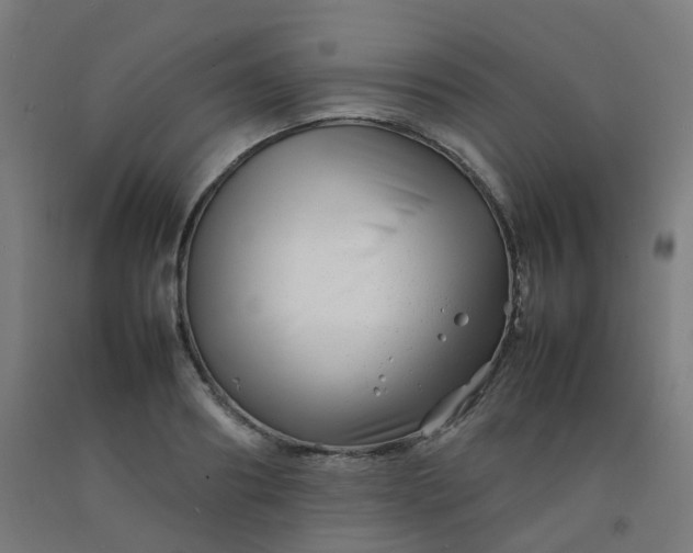 X0000092270890200709281221