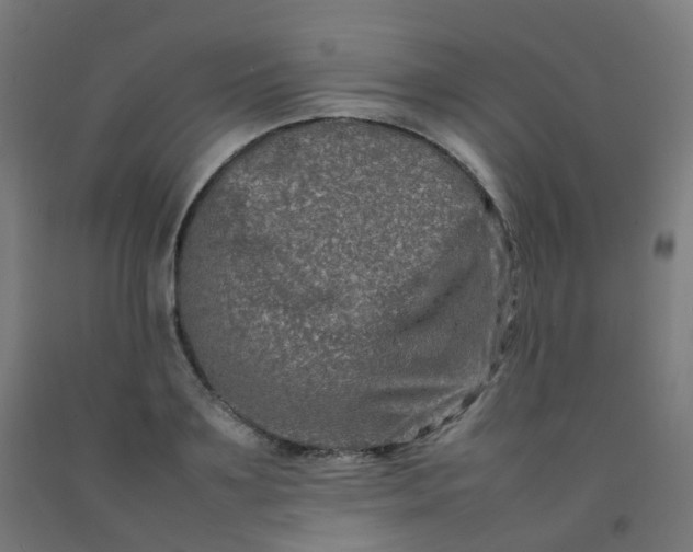 X0000092270891200709281221