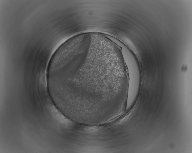 X0000092270892200709281221
