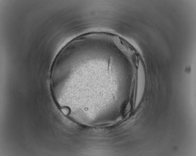 X0000092270895200709281221