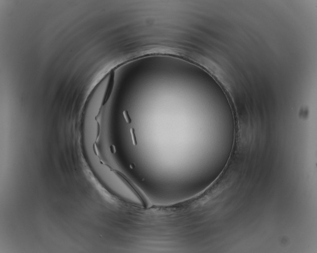 X0000092270898200709281221