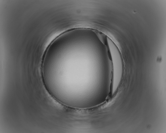 X0000092270901200709281221