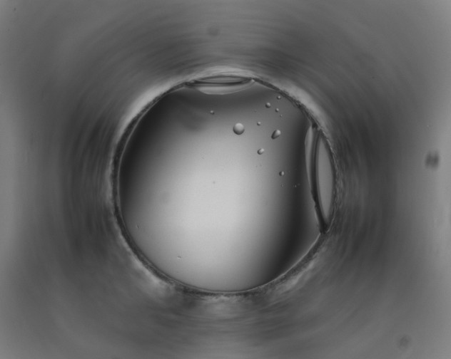 X0000092270902200709281221