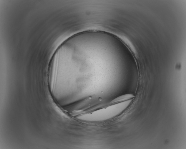 X0000092270903200709281221